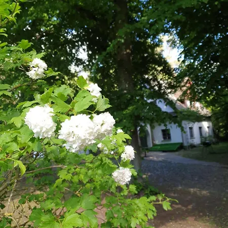 Joli Maison Dans La Verdure 5 Avec Tennis Casa vacanze